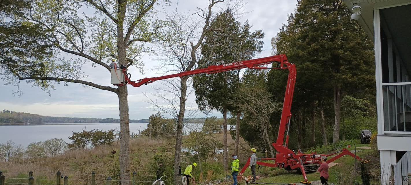 A man in a red bucket is cutting a tree in front of a house.