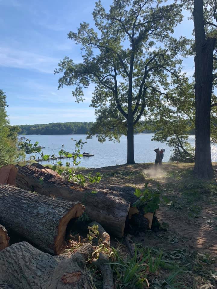 A large log is laying on the ground in front of a lake.