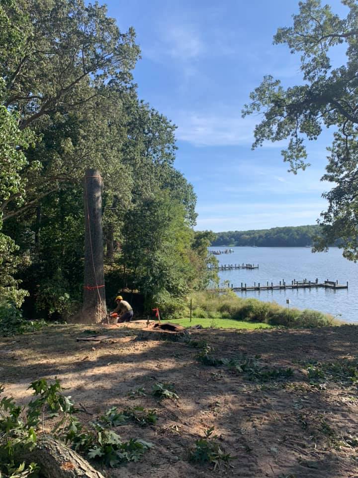 A man is working by the shore of a lake surrounded by trees.