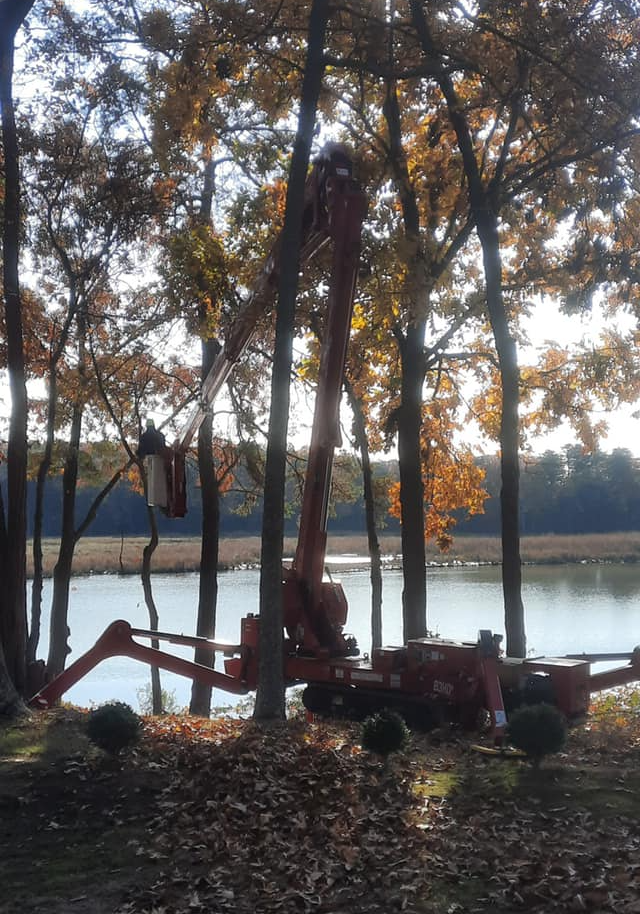 Crew clearing waterfront view.