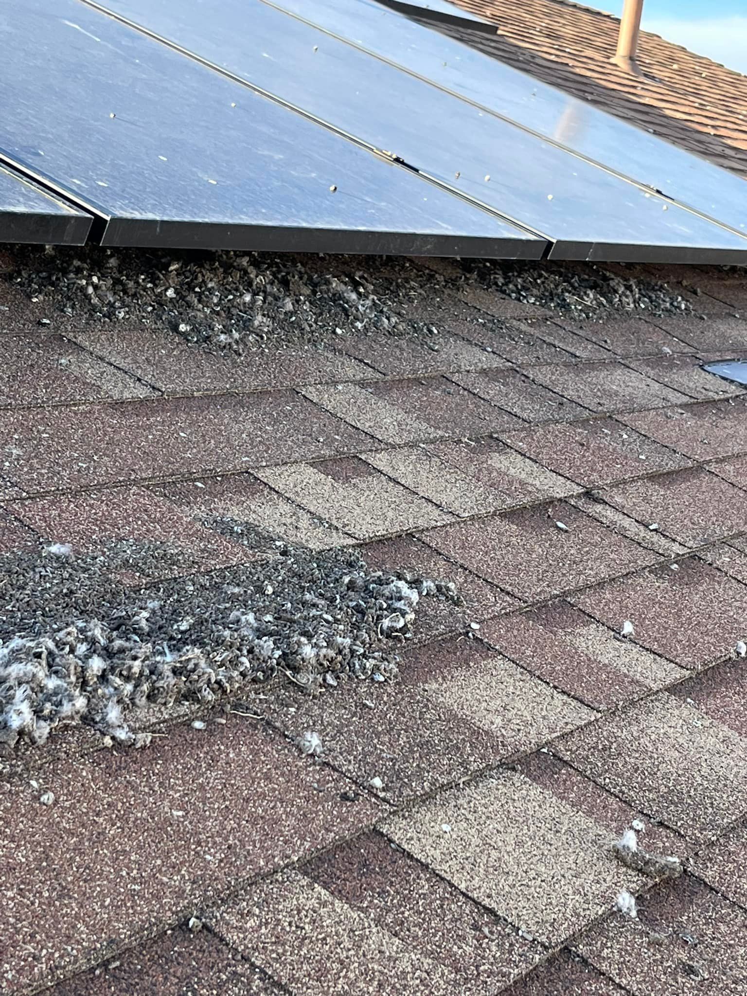 A close up of a roof with solar panels on it.
