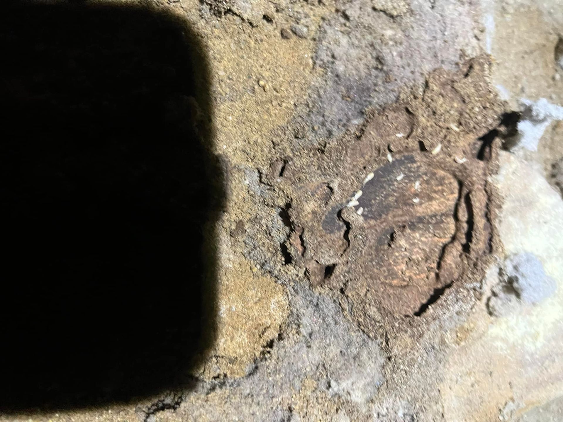 A shadow of a person is cast on a rock.