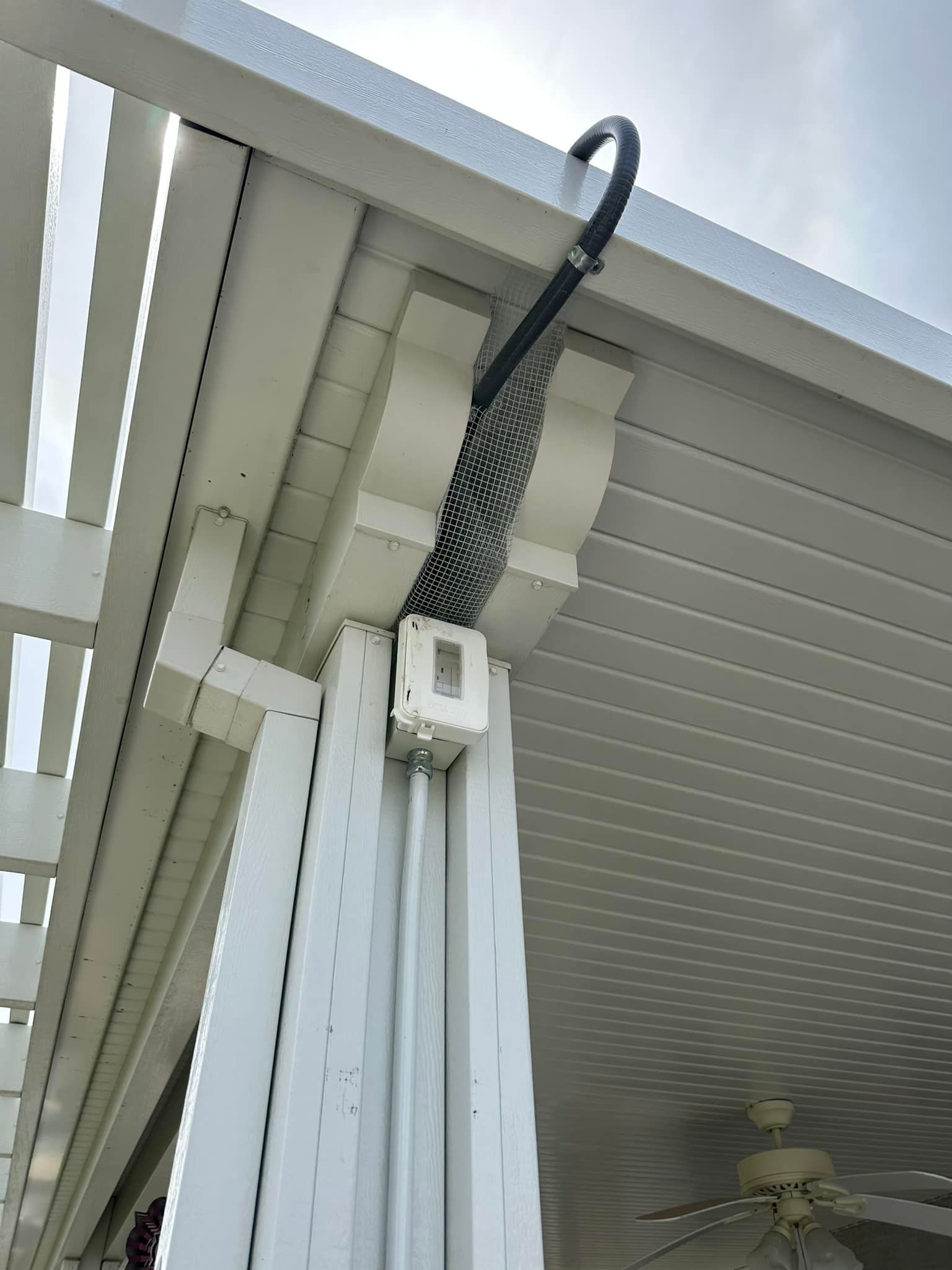 A snake is hanging from the roof of a building.