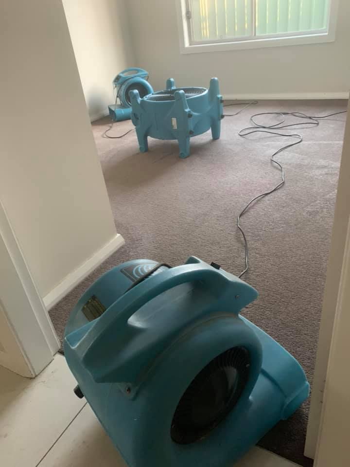 Quality Carpet Cleaning in Dubbo Gower Carpet Cleaning
