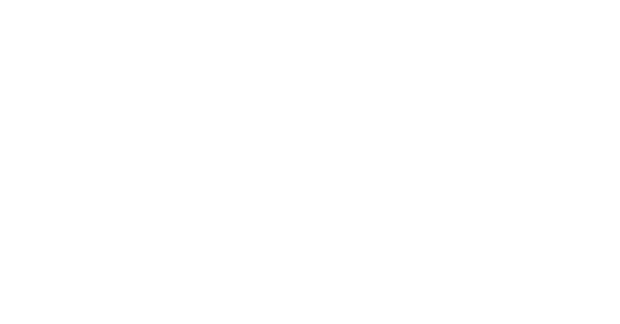 Logo energy Storage NL