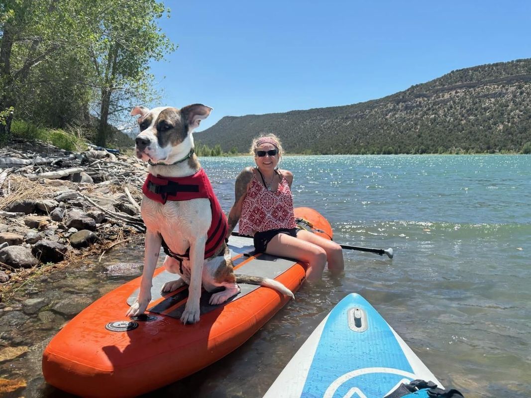 Woman and dog on paddleboard in lake