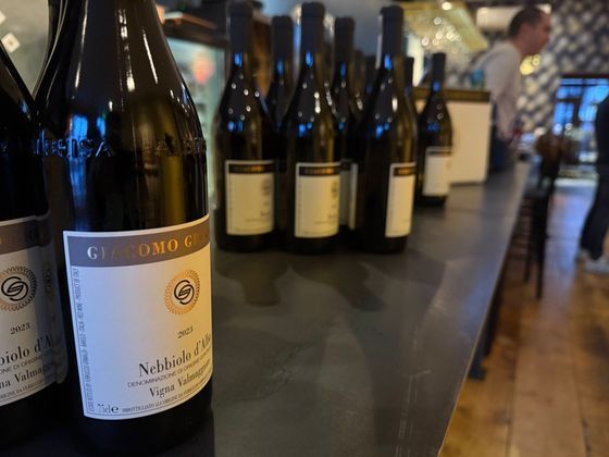 Wine bottles lined up on a counter