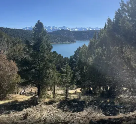 Lush green trees frame a lake with snowy mountains in the background under a clear blue sky.