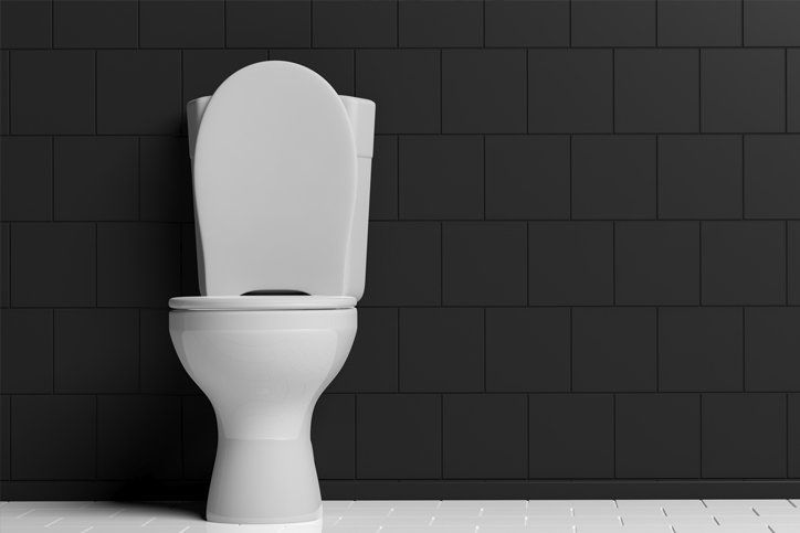 Bathroom Toilet — Sebring, FL — Bullgator Plumbing Inc.