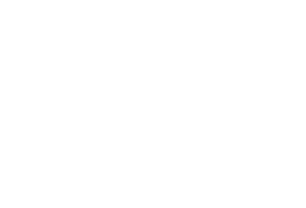 Virgin Logo