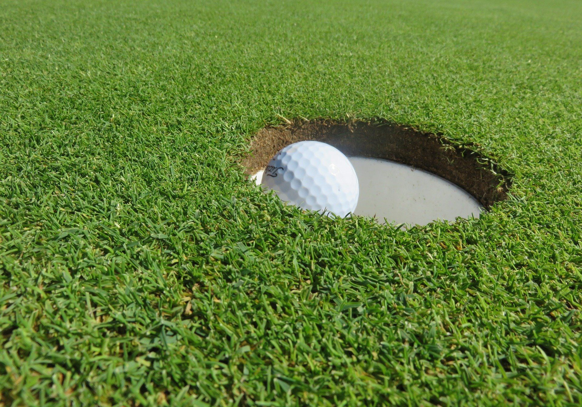 White golf ball resting inside the cup of a golf hole on a manicured green golf course.