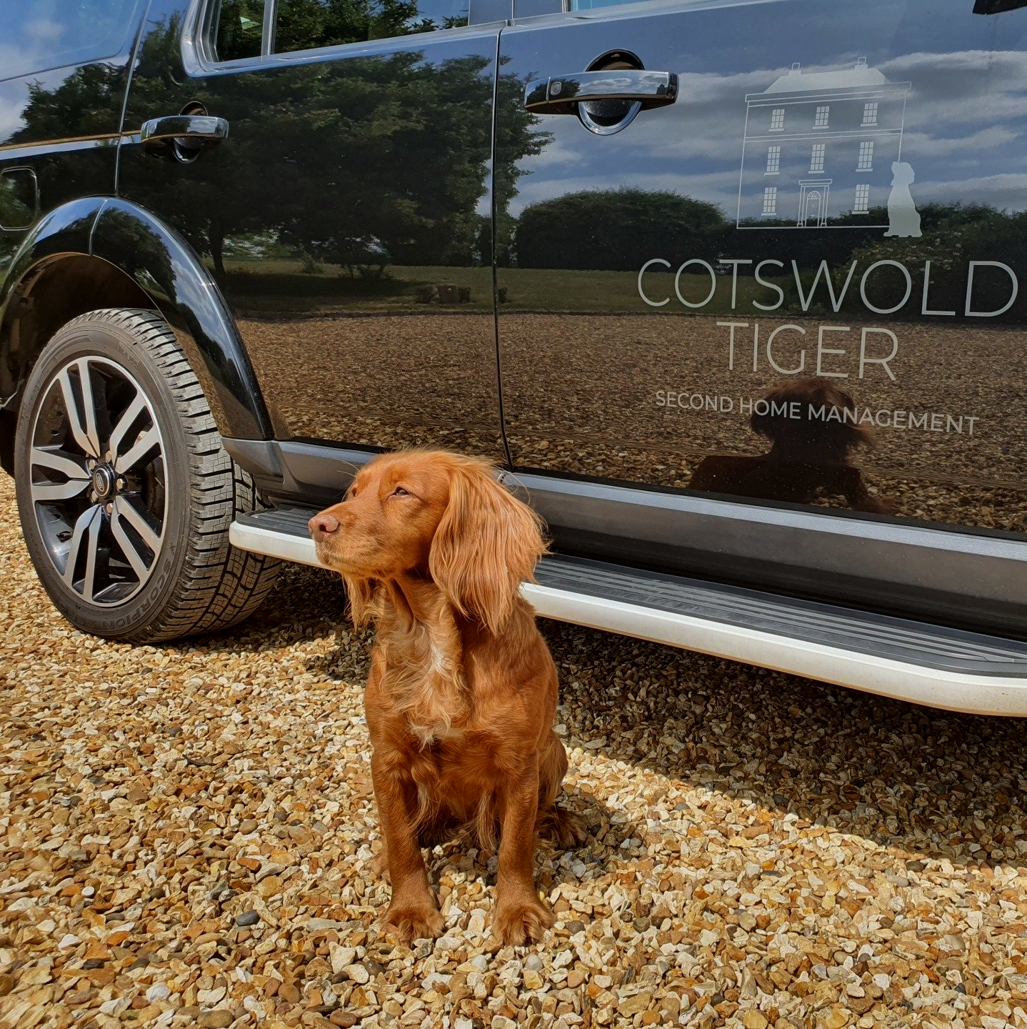 red spaniel sitting next to black discovery, Cotswold Tiger, The Second Home Company