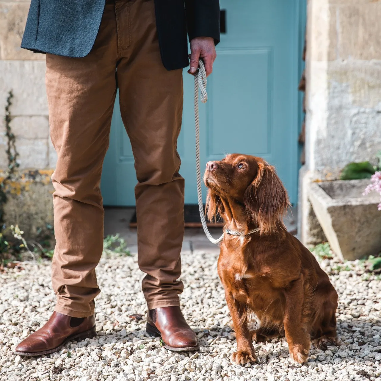 man's legs wearing tan chinos with red spaniel looking up at him. Standing outside blue front door