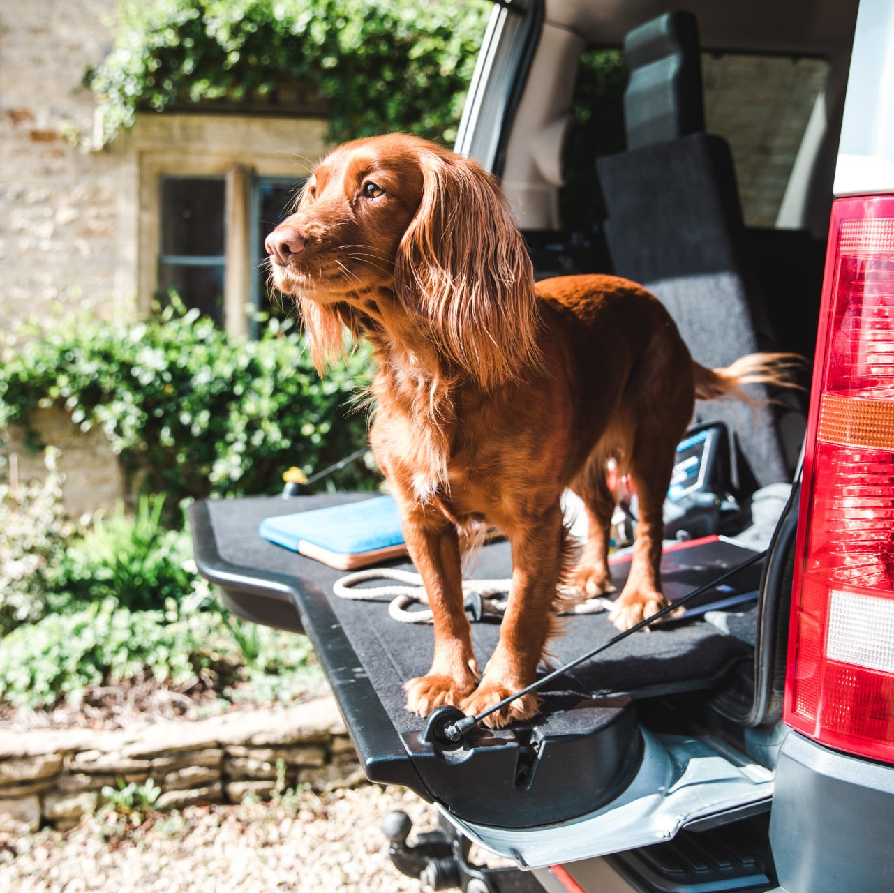 red spaniel standing in discovery, outside cotswold stone house, Cotswold Tiger, The Second Home Company 
