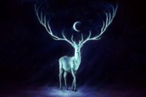 Solstice Meditation: Growing into Light