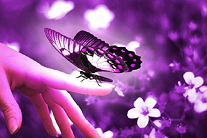 Reiki Level II