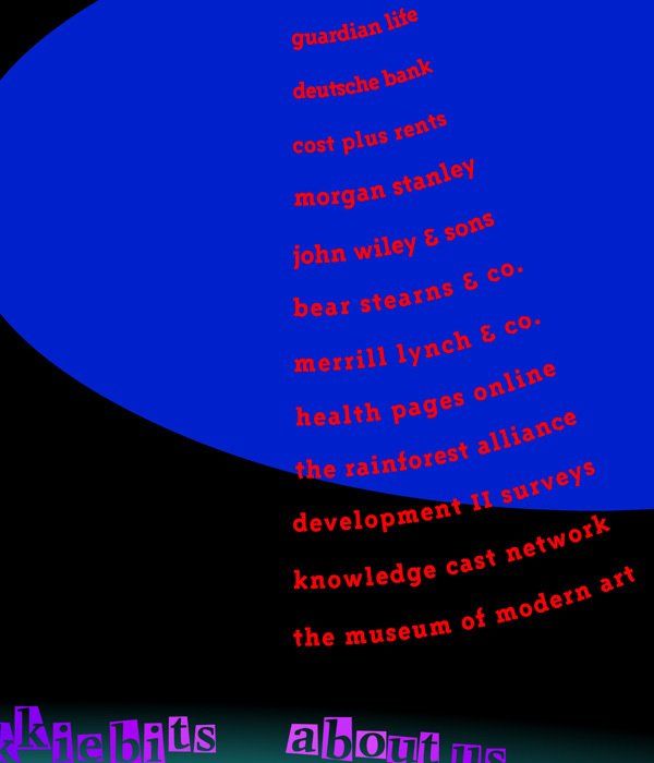 Enterprise Computer Services Digital Agency