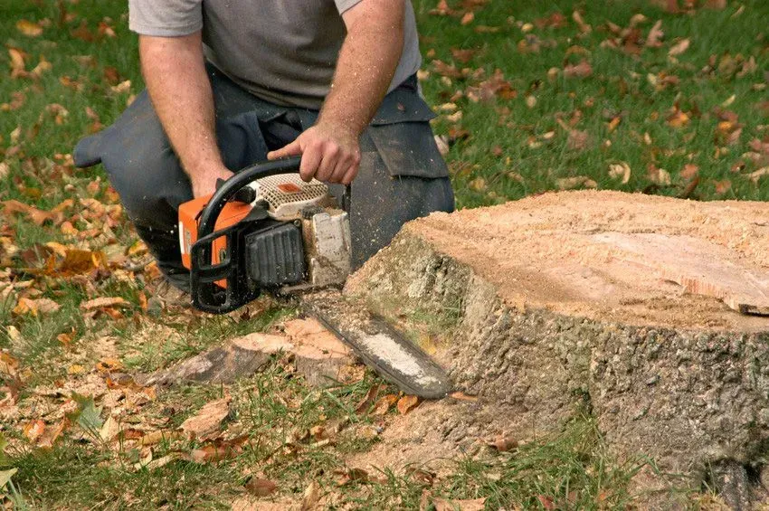 A person using an orange and black chainsaw to cut a tree stump in a grassy yard.