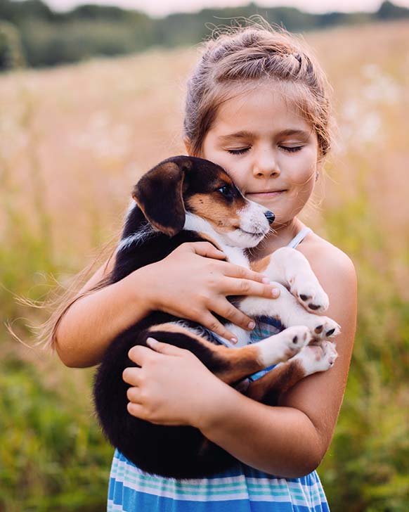 Een klein meisje houdt een puppy in haar armen in een veld.