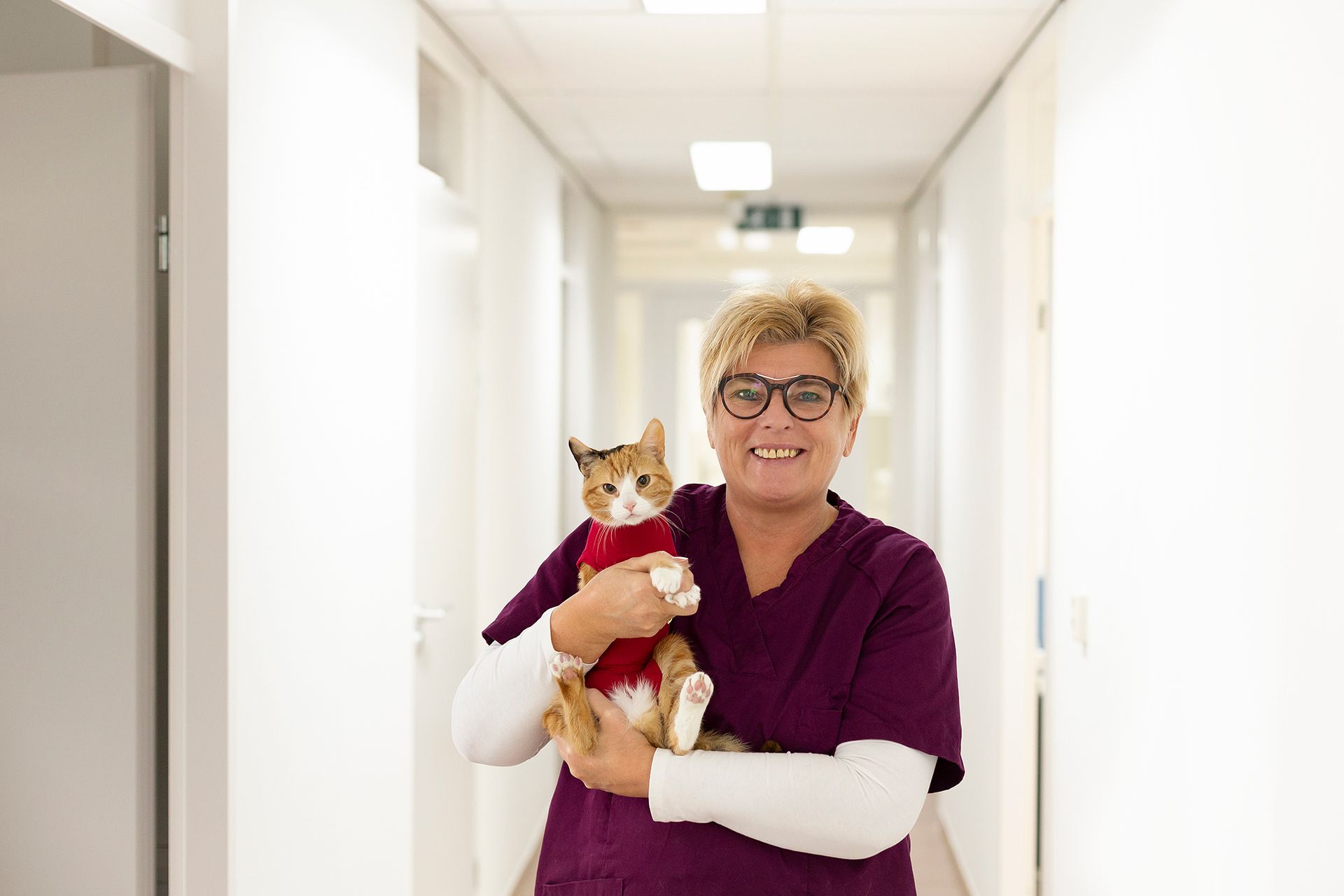 Een vrouw in paarse scrubs houdt een kat in haar armen