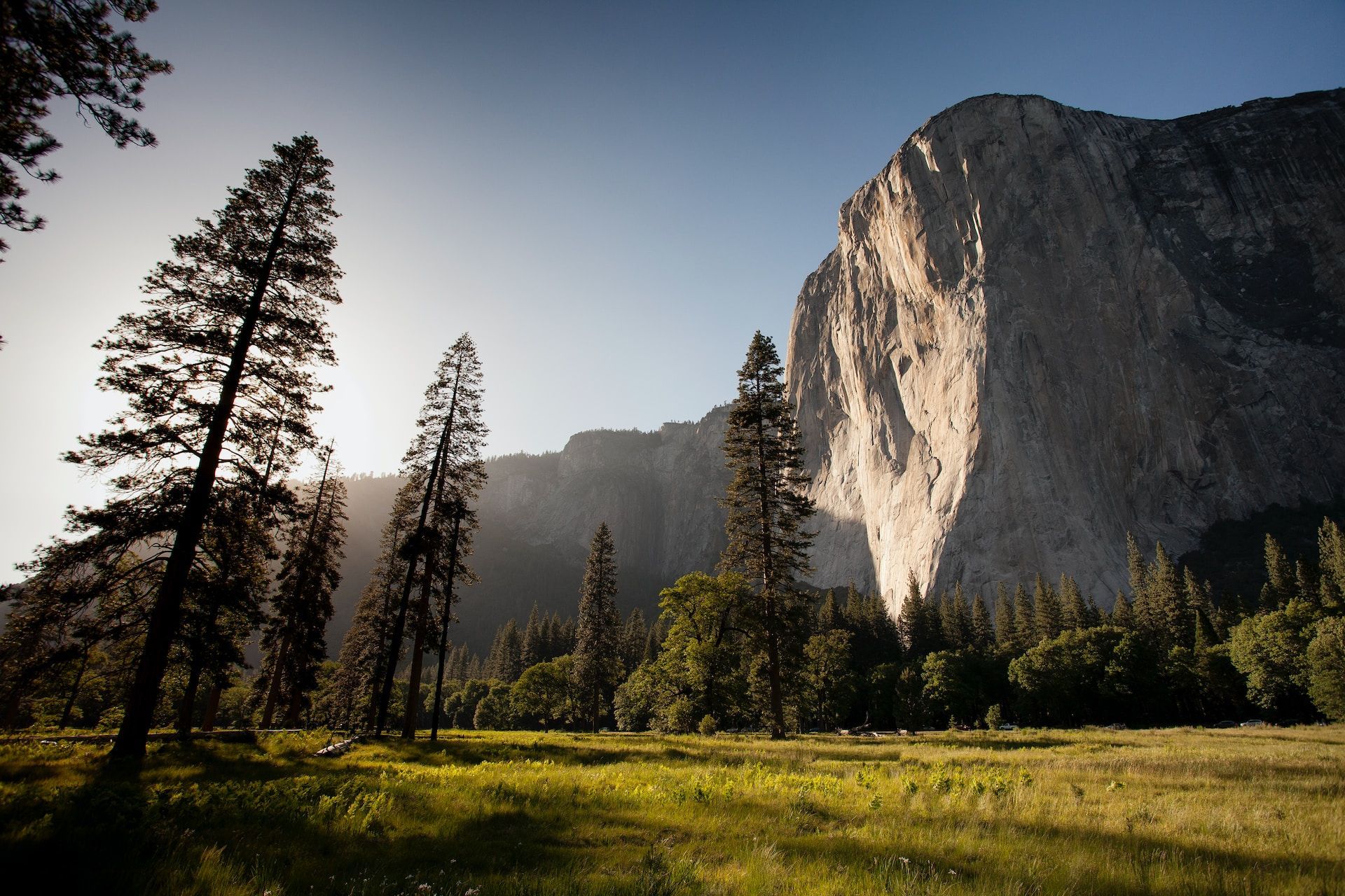 A mountain with trees and grass in front of it