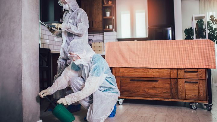 Two pest control professionals in protective suits treating a residential interior, inspecting and applying pesticide to ensure a pest-free environment