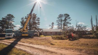 Residential Tree Service Ongoing — Central West NSW — OS Trees