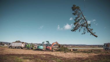 Trucks On The Field — Central West NSW — OS Trees