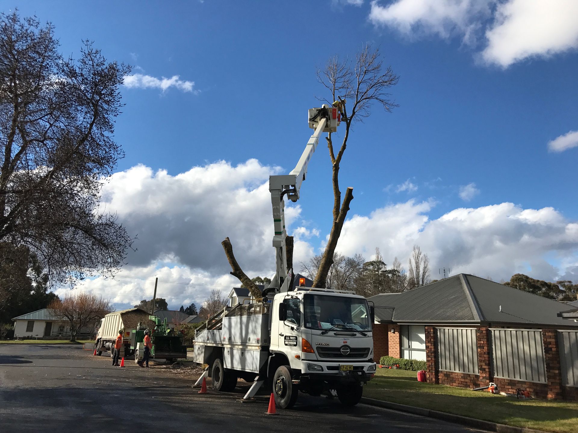 Cutting Tree Branches — Central West NSW — OS Trees
