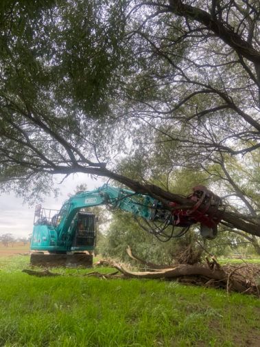 Machine Grabbing Tree Trunk — Central West NSW — OS Trees