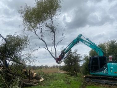 Tree Removal Service — Central West NSW — OS Trees