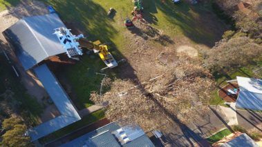 Residential Tree Service — Central West NSW — OS Trees