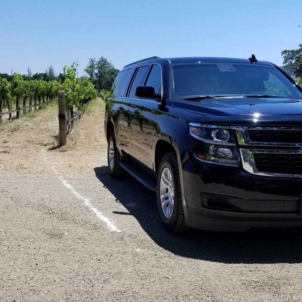 a black suv is parked on a dirt road next to a vineyard
