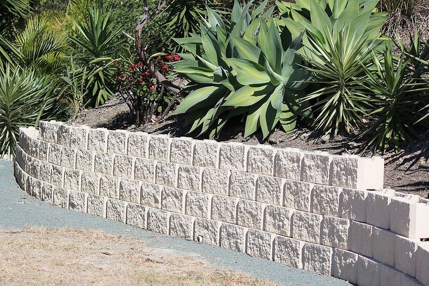 a stone wall with plants growing out of it