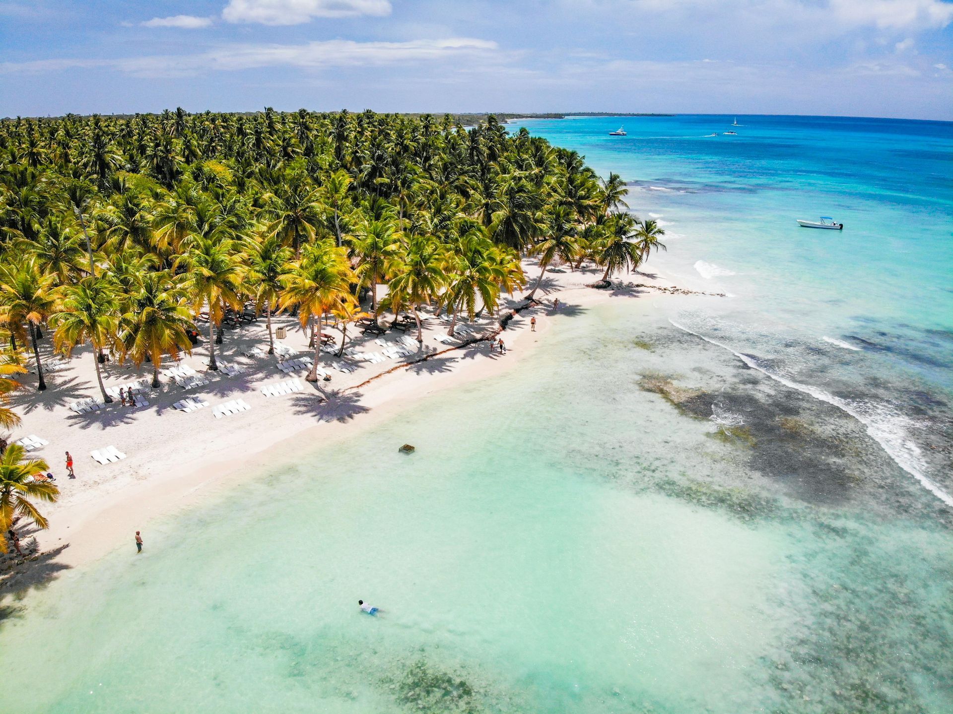 Una vista aérea de una playa tropical con palmeras y agua turquesa.