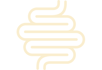 Gut