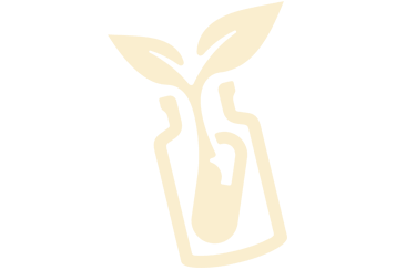 Functional Medicine