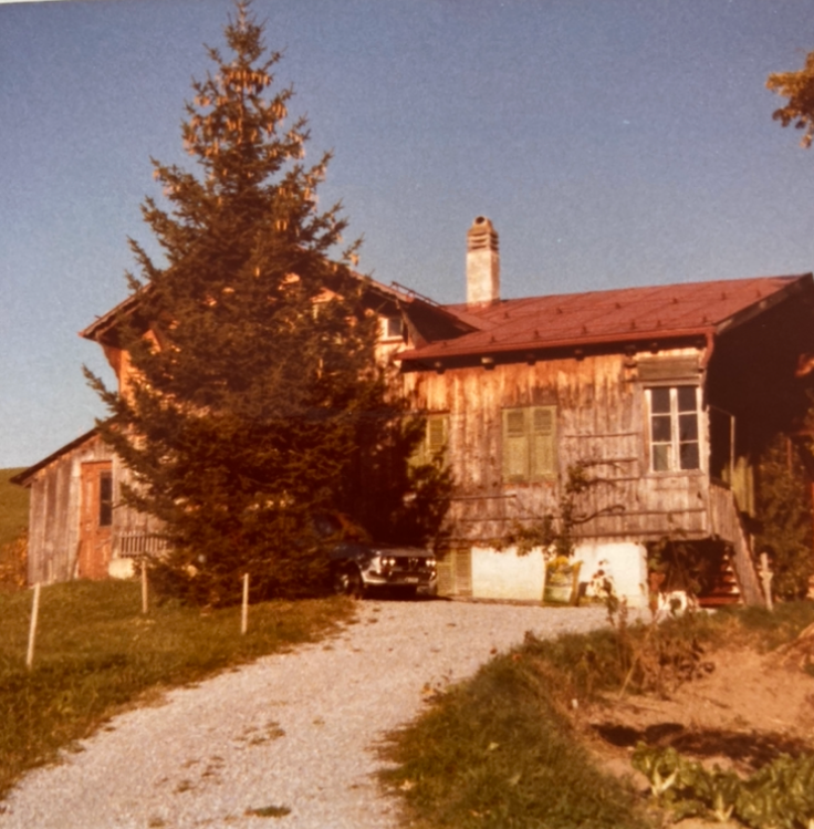 Transformation d'une vieille ferme, Gstaad