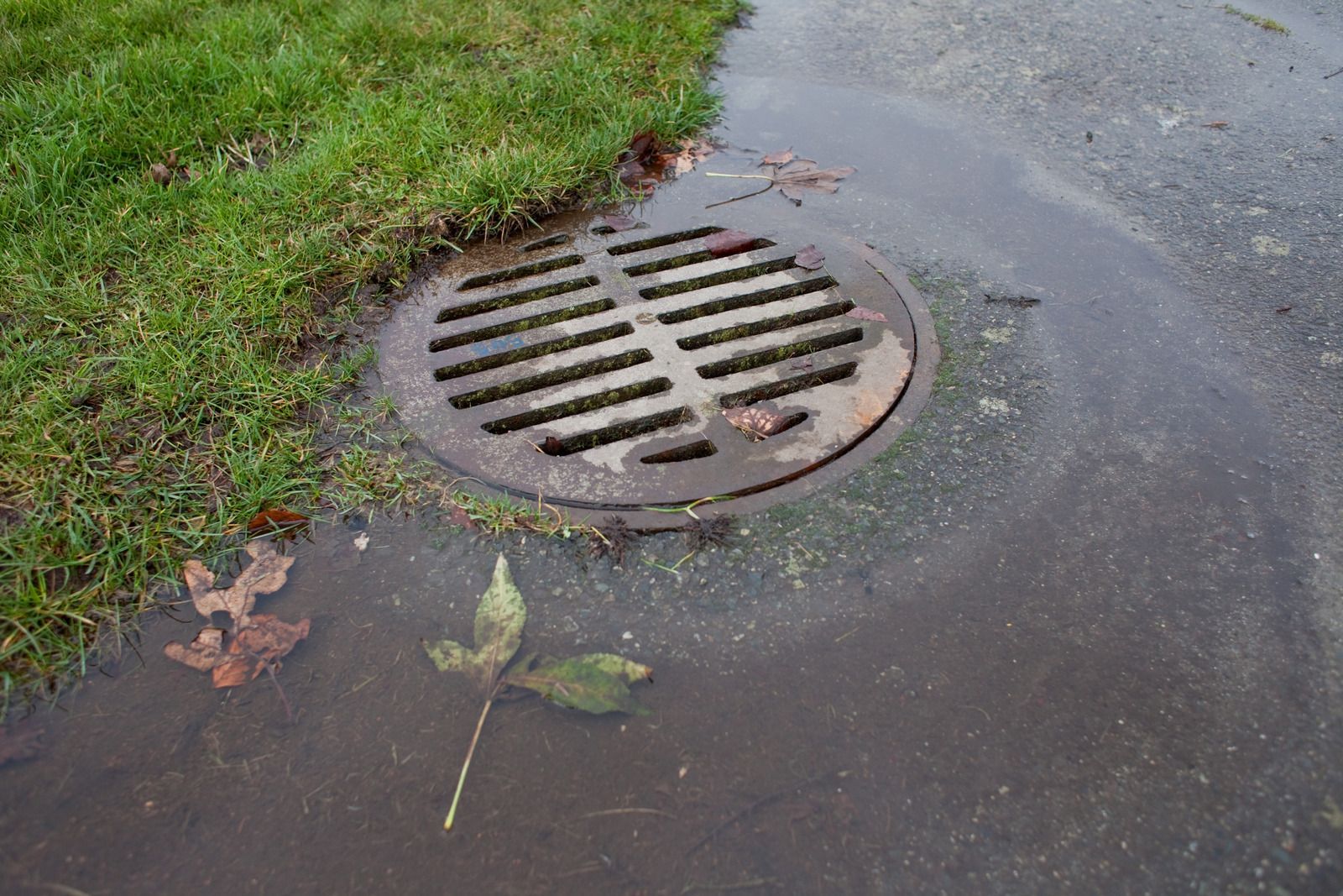 storm-drain-vs-sewer-drain-what-s-the-difference