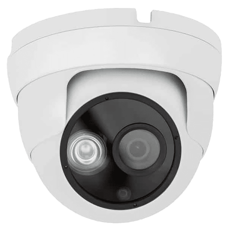 CCTV Cameras NPS