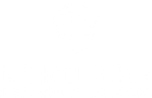NPS Northern Protective Services logo in white