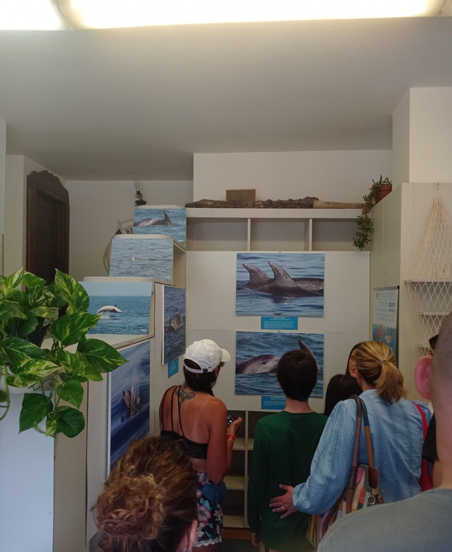 Mostra fotografica biodiversità marina Comacchio