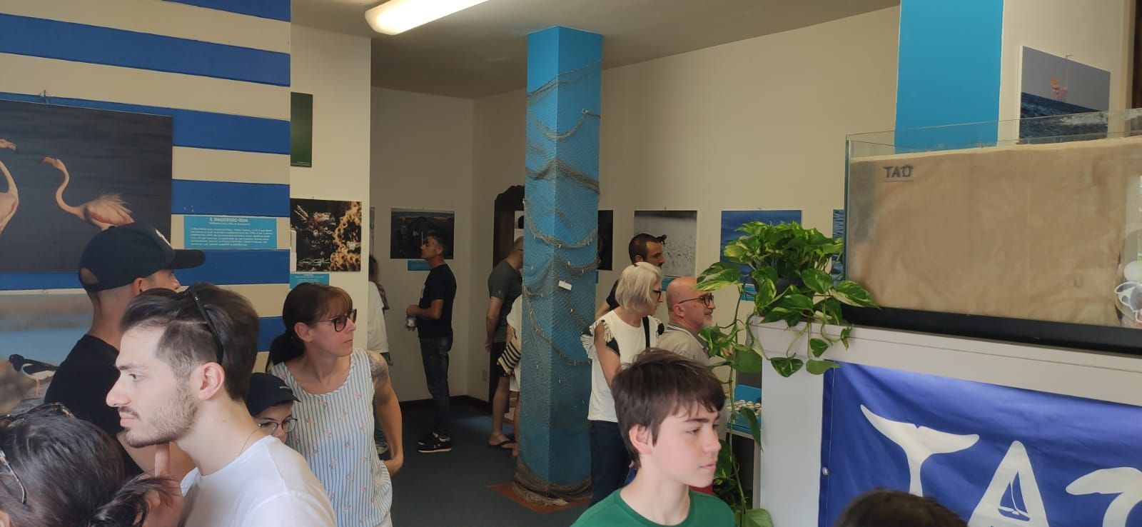 Mostra fotografica biodiversità marina Comacchio