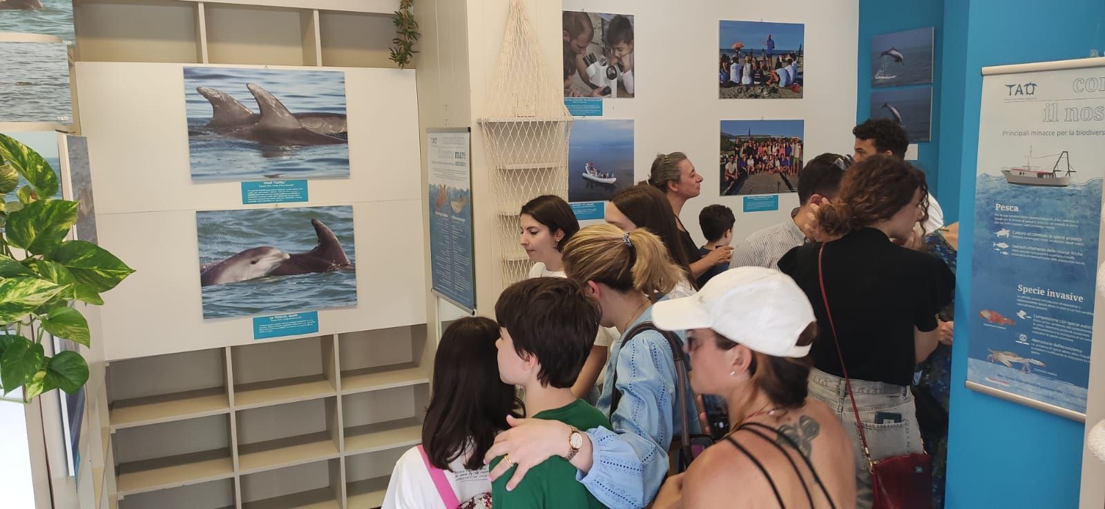 Mostra fotografica biodiversità marina Comacchio