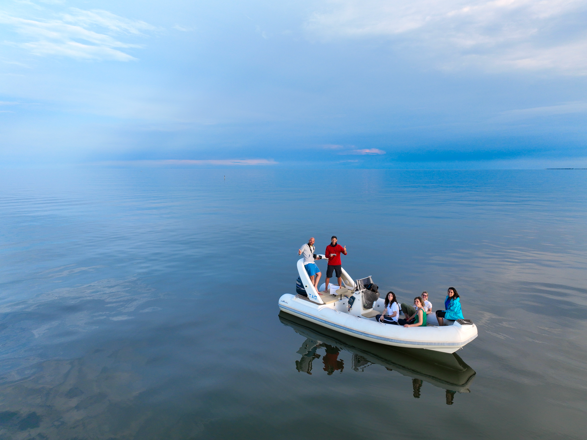 drone avvistamento delfini in mare