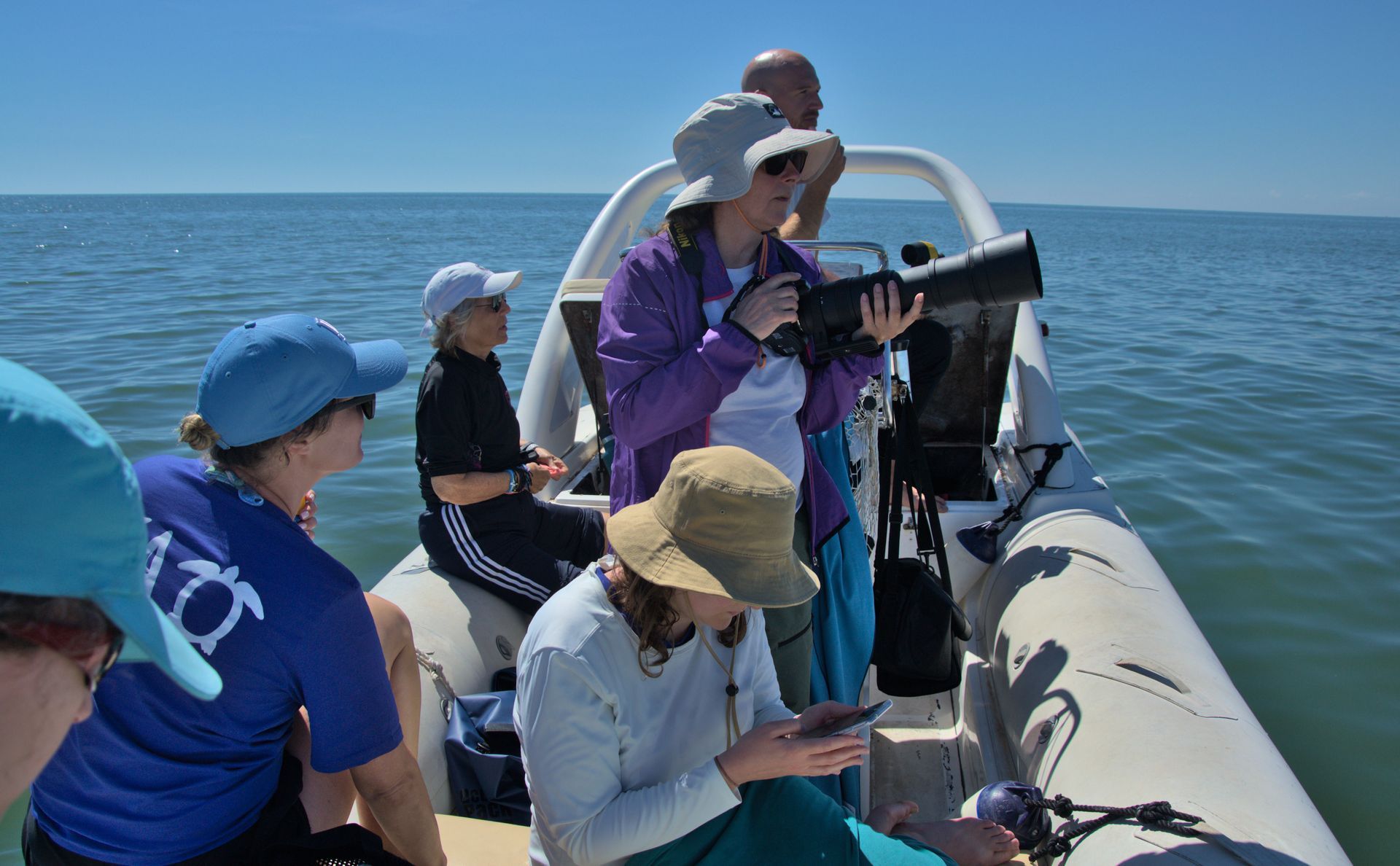 Escursioni in gommone per avvistare delfini e tartarughe marine