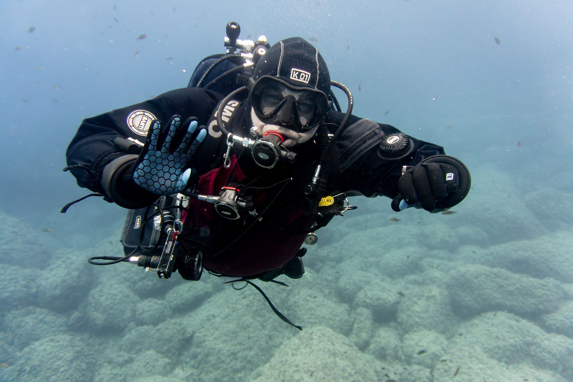 nido tartaruga marina