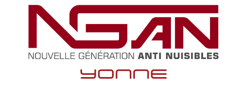 Un logo rouge et blanc pour nean sur fond blanc