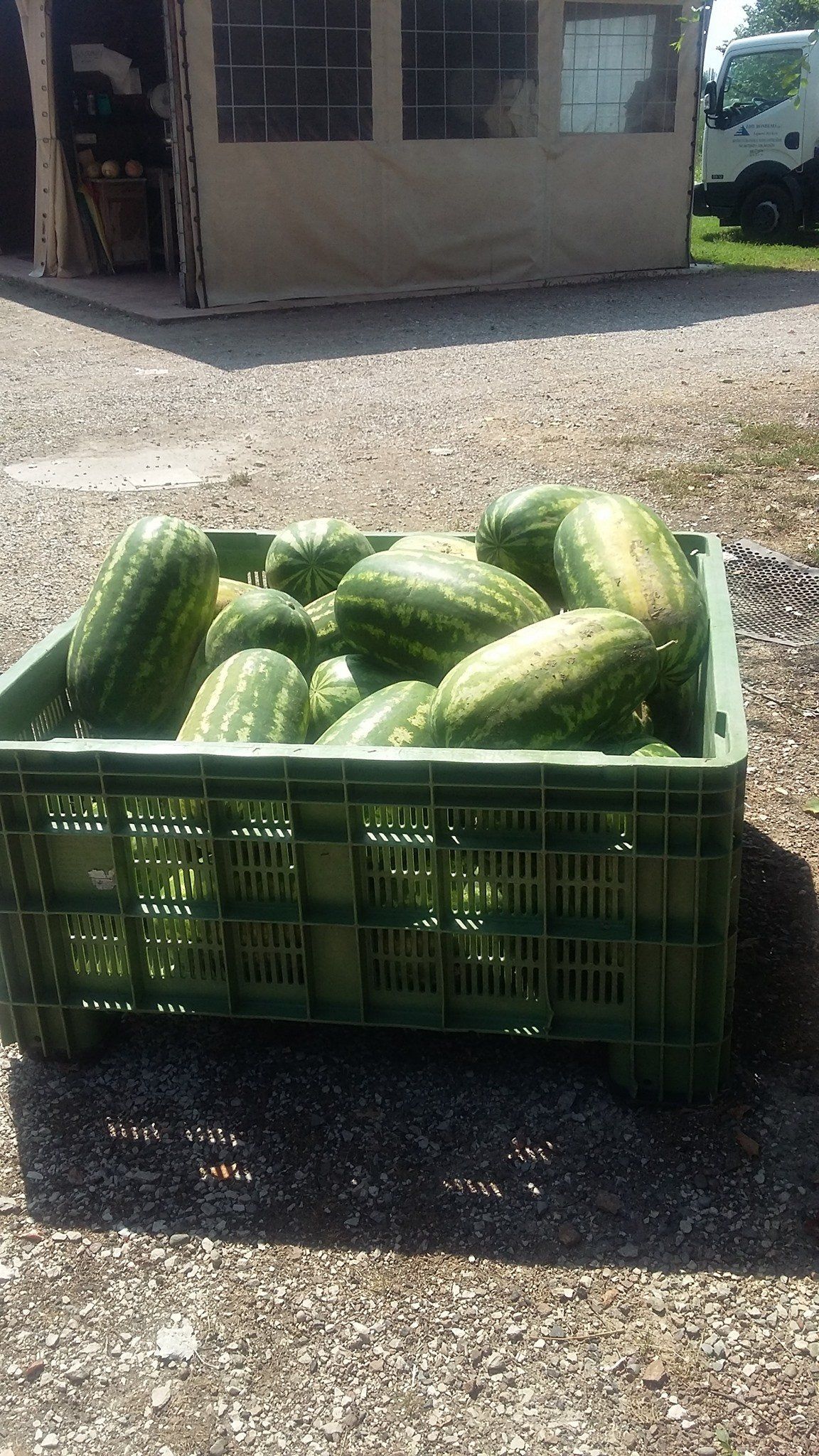 vendita diretta la florida