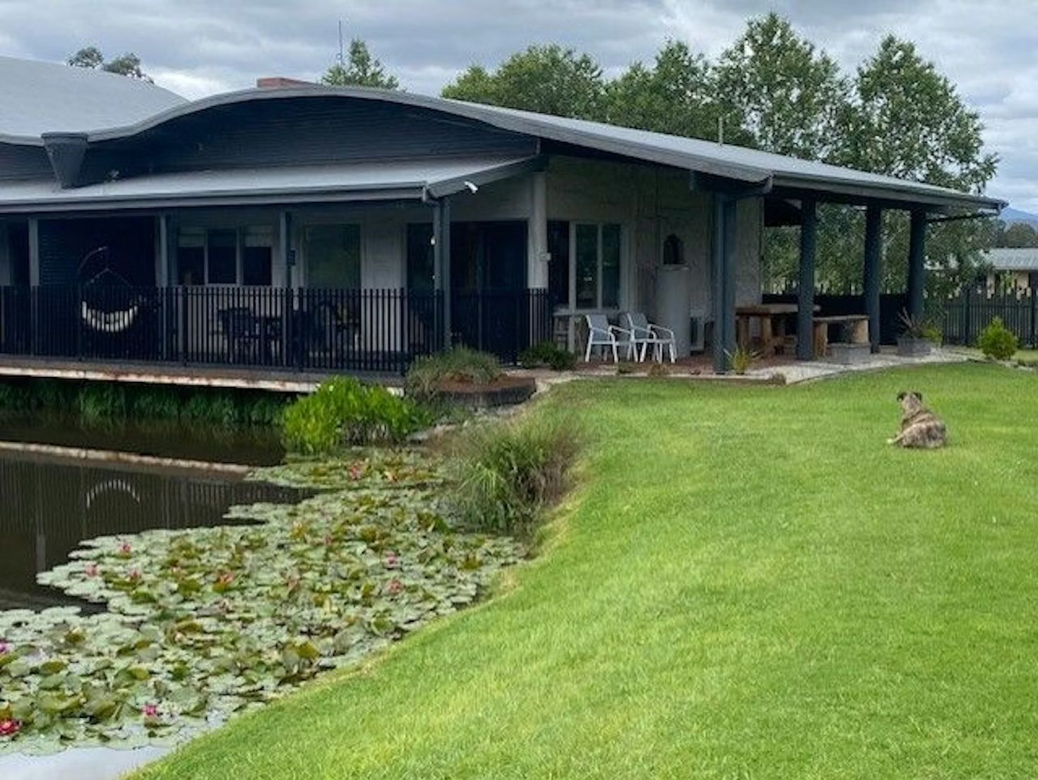 A house with a wraparound porch and dark roof overlooks a lily pad-filled pond, with a dog resting on the lawn nearby.